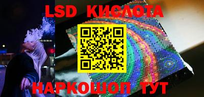 PSILOCYBIN Краснодар