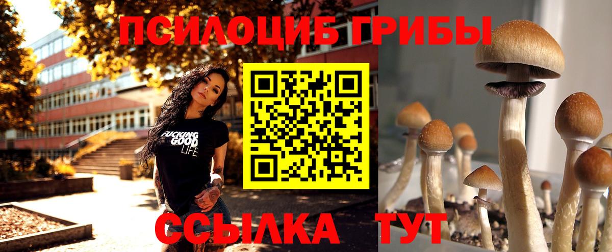Псилоцибиновые грибы Magic Shrooms  Вход с VPN  Костомукша 
